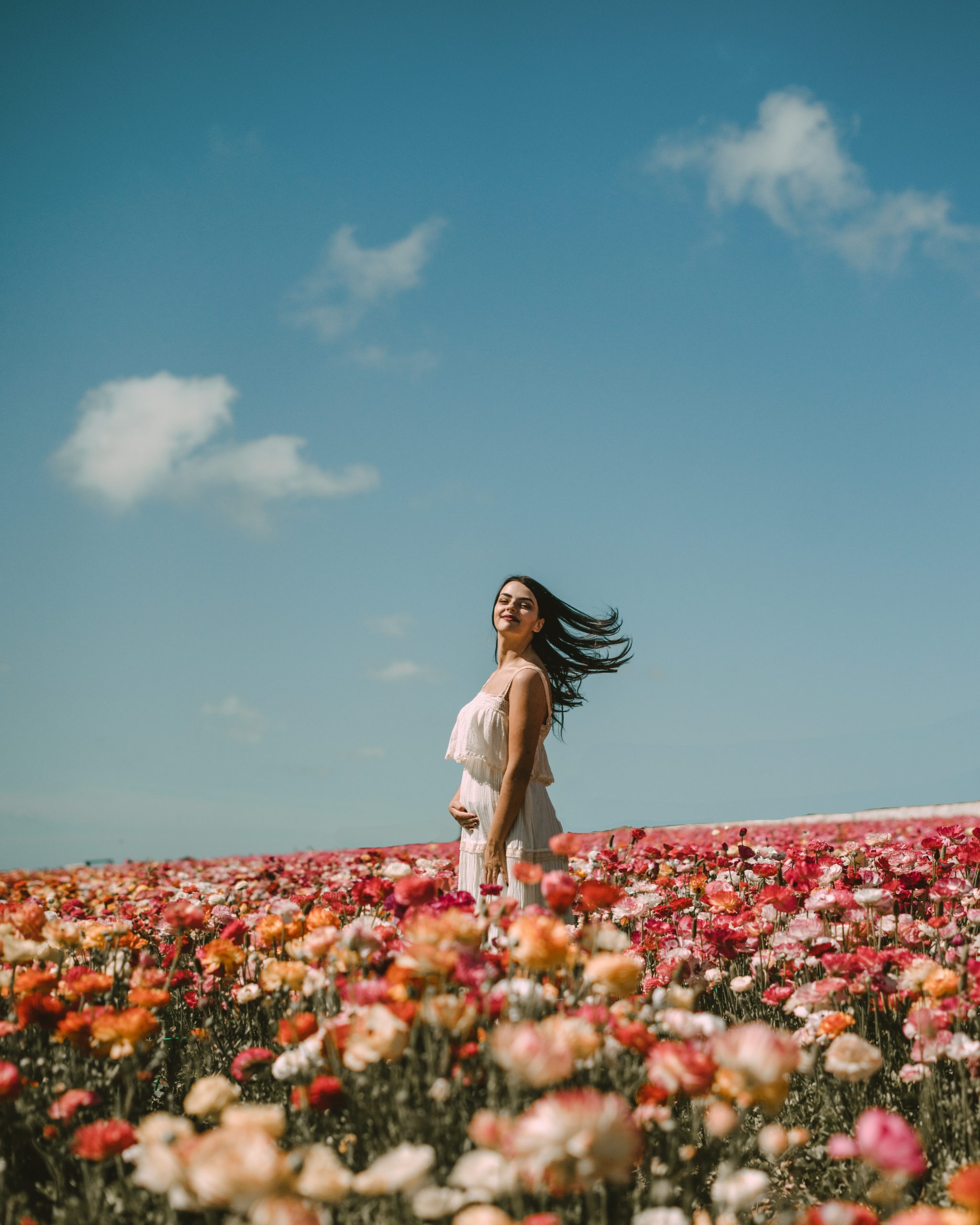 Flower Field