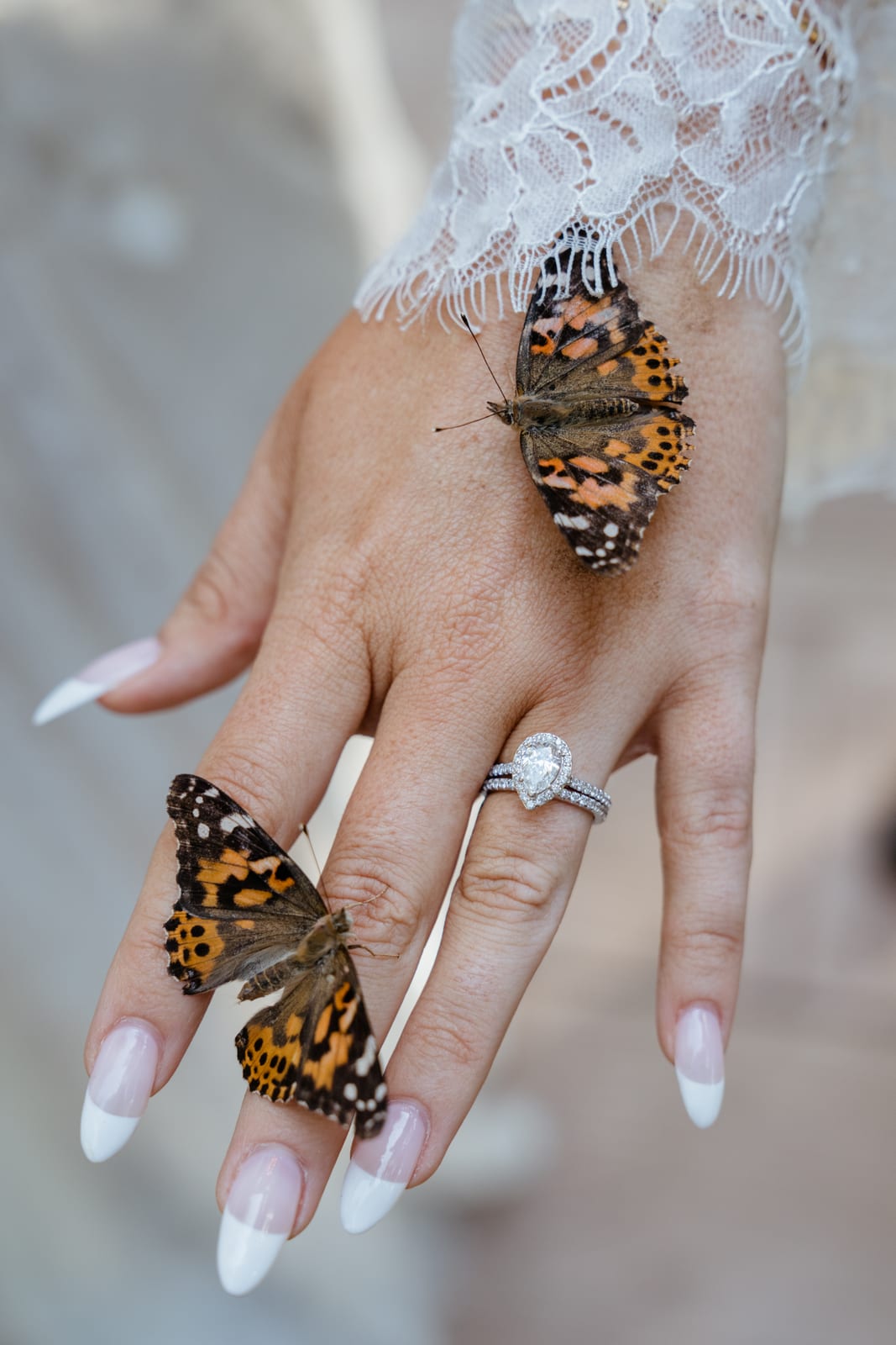 Wedding Highlights