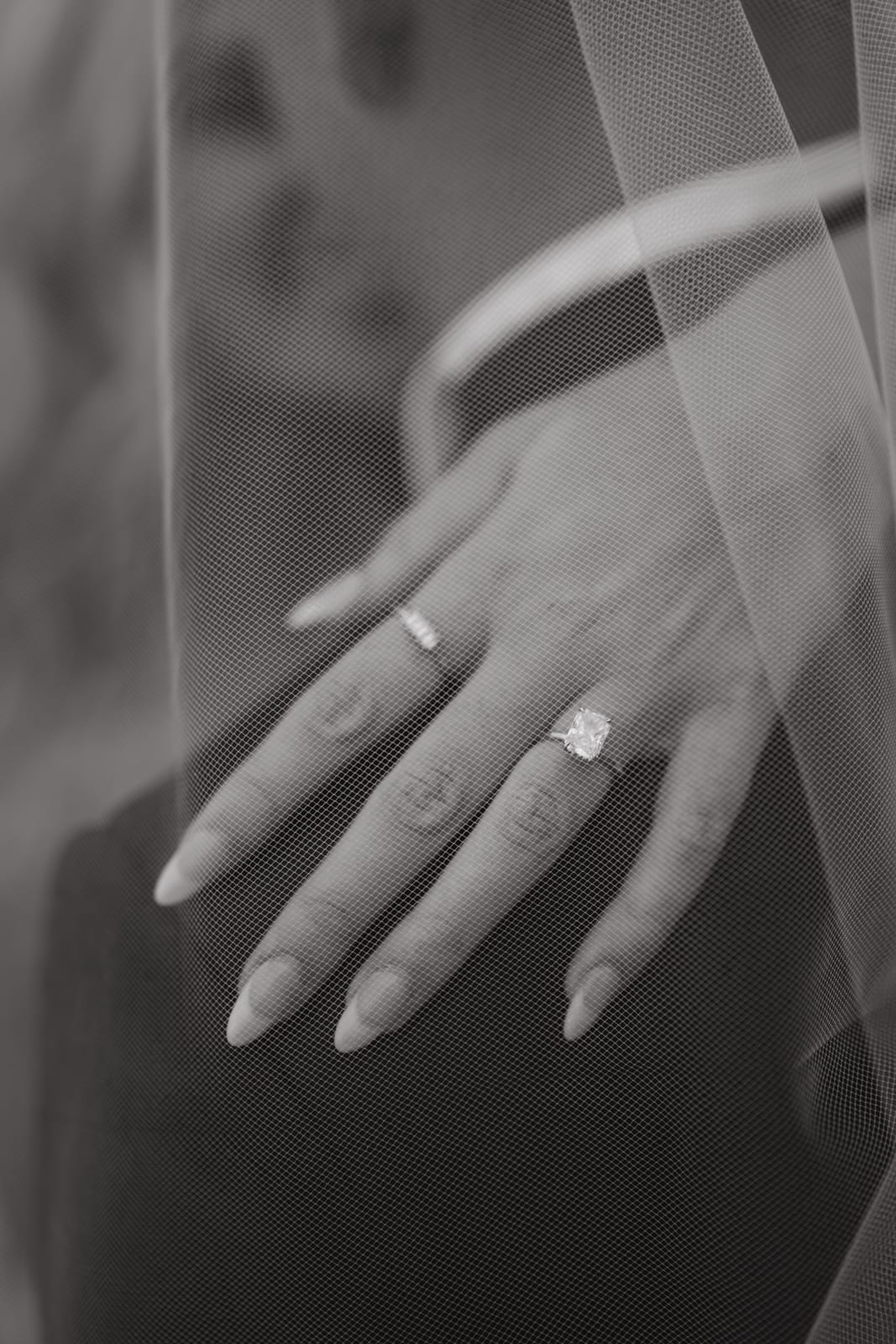 Wedding Highlights